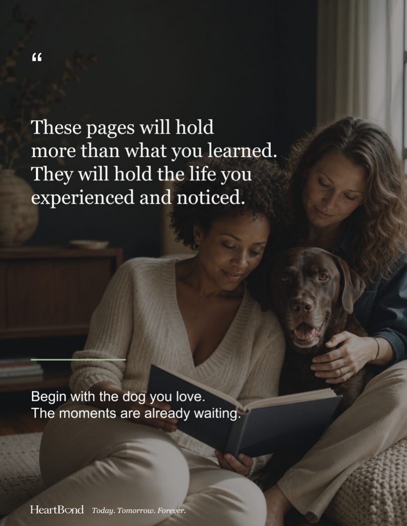 A HeartBond Insight page